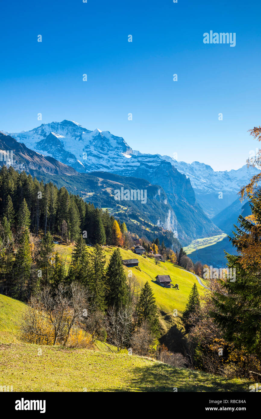Wengen, e monte Jungfrau, Berner Oberland, Svizzera Foto Stock