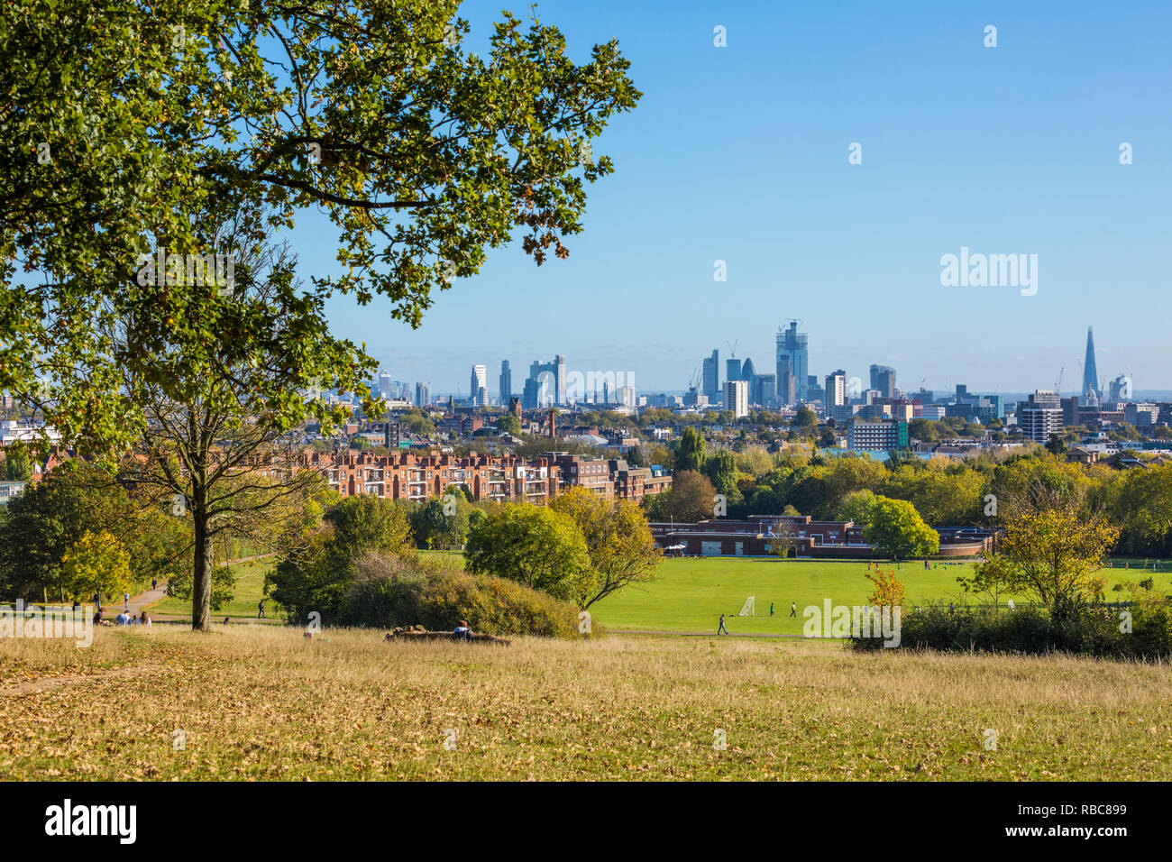 Hampstead Heath, London, England, Regno Unito Foto Stock