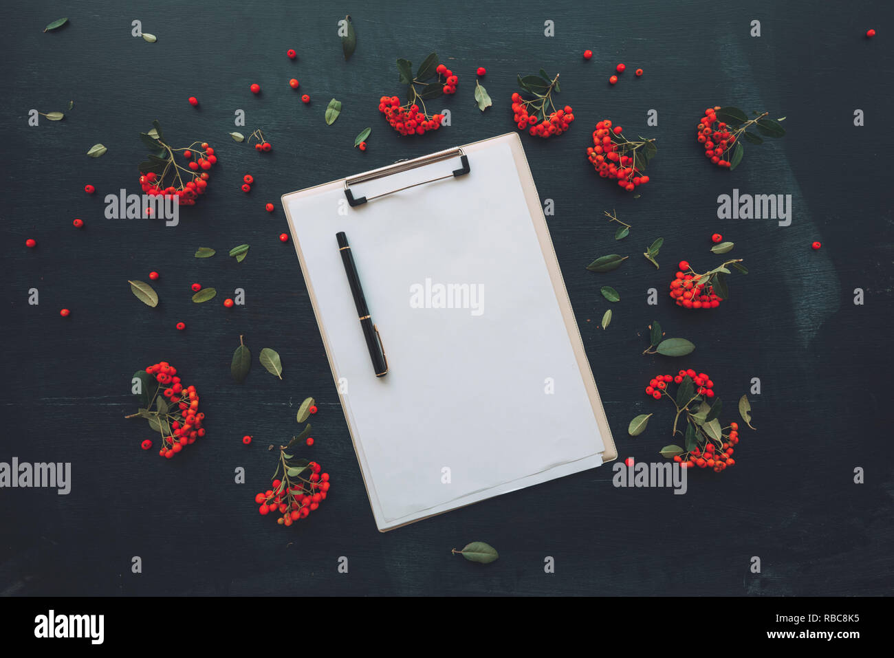Piatto di laici appunti notepad blank mockup carta visto dal di sopra su sfondo scuro decorata con frutti di bosco la disposizione di frutta Foto Stock