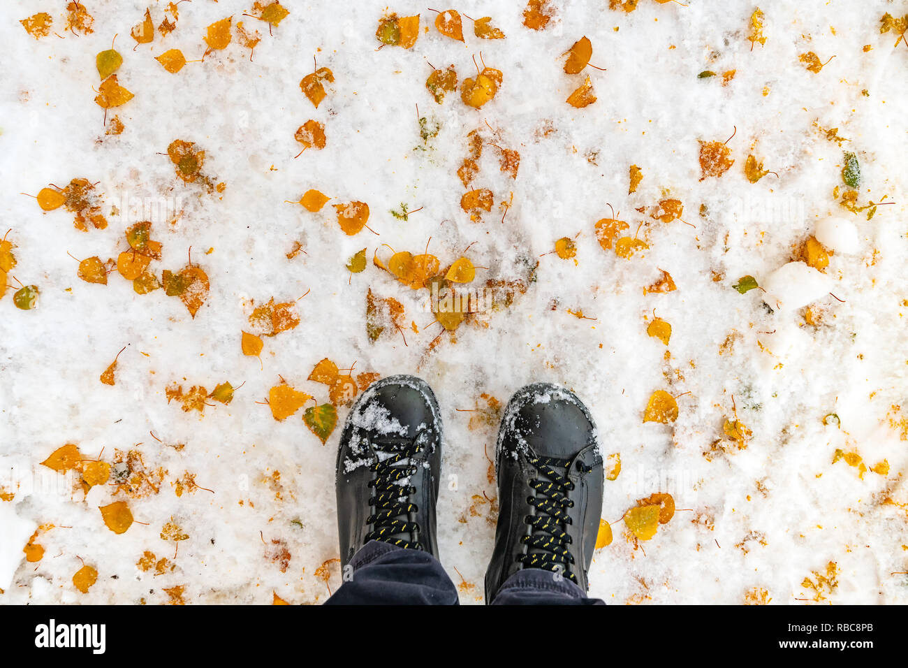 Piedini maschio in stivali in piedi nella neve invernale coperto con foglie di giallo Foto Stock
