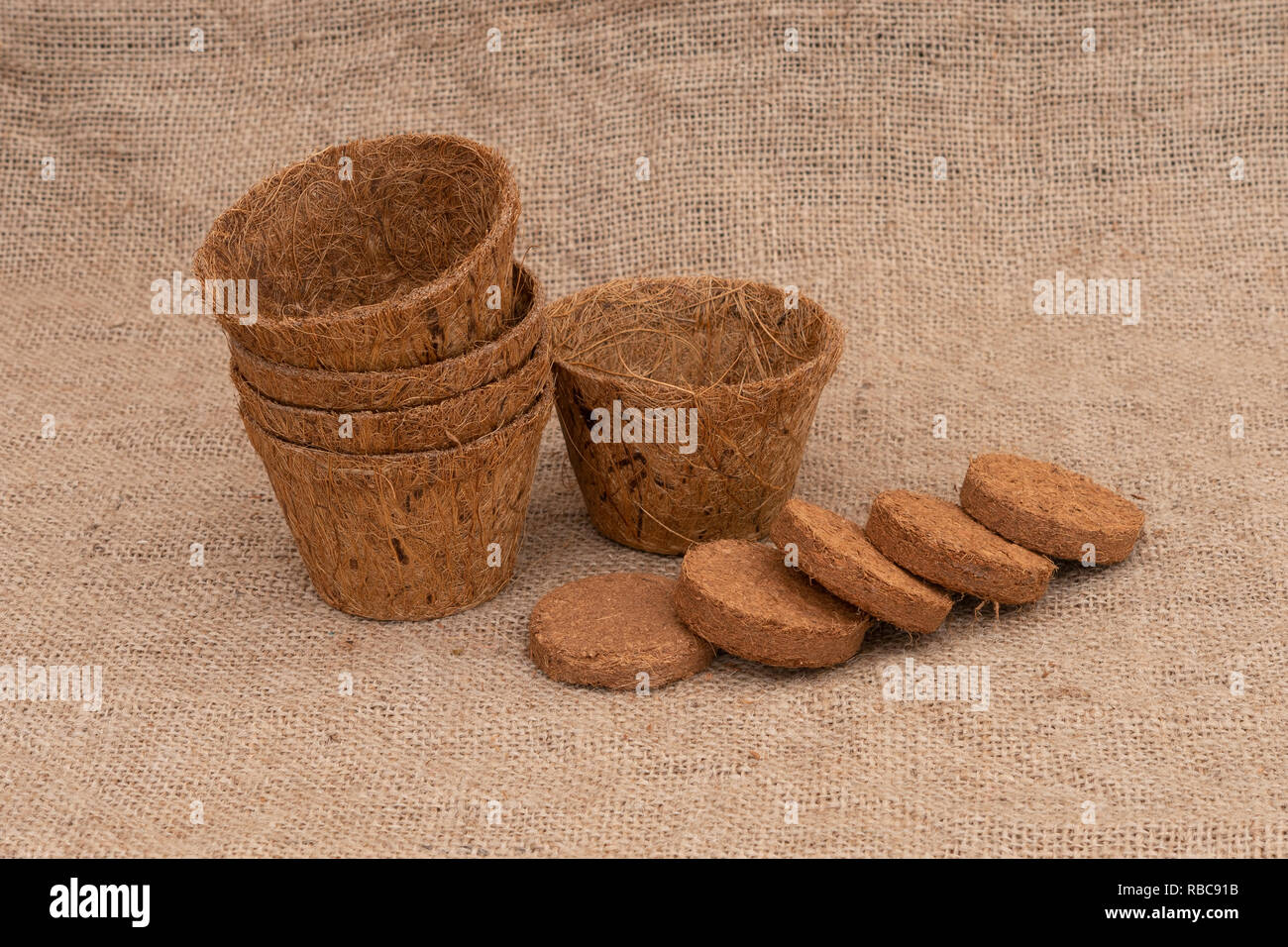 Filati di cocco vasi per piante e compressa compost su hessian. Ecologico giardinaggio a molla. Foto Stock