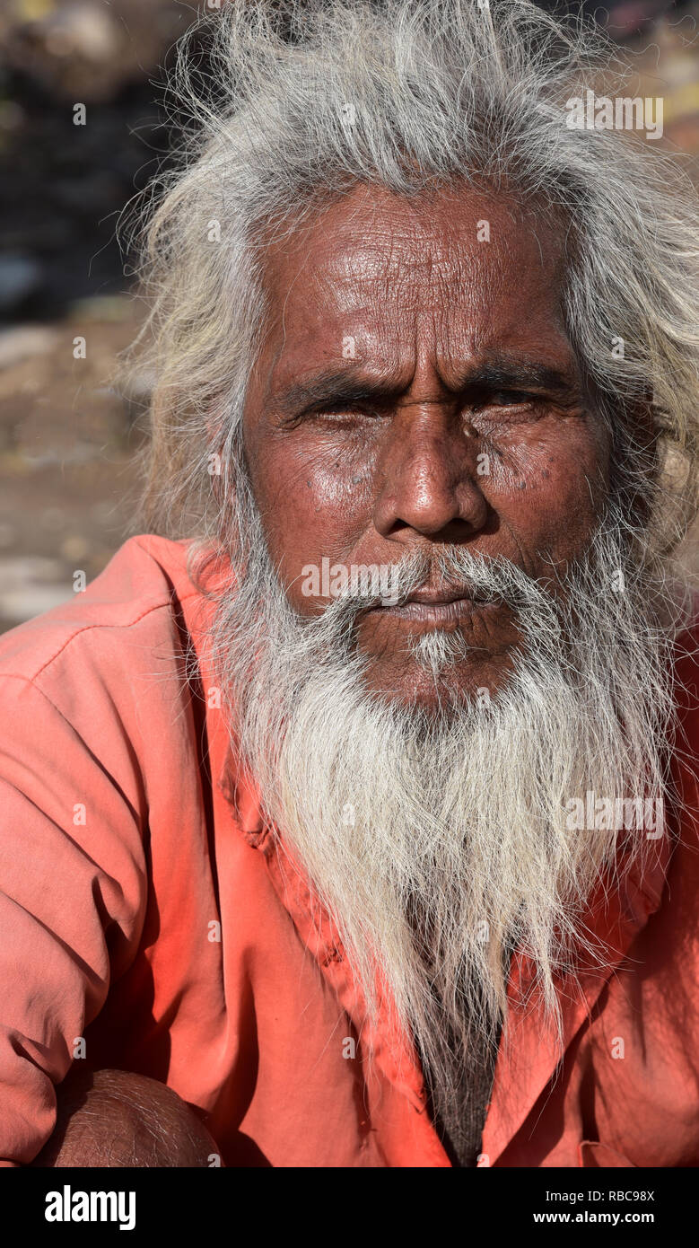 Senior grey-haired indiano barbuto uomo guarda direttamente alla fotocamera, Pushkar, Rajasthan, stato dell India occidentale, in Asia. Foto Stock