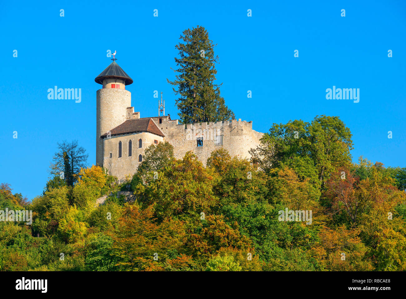 Il castello di Birseck, Arlesheim, Basel-Country, Svizzera Foto Stock