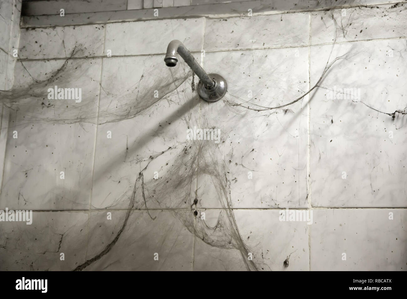Doccia sporca con ragnatele, antigienici bagno Foto Stock