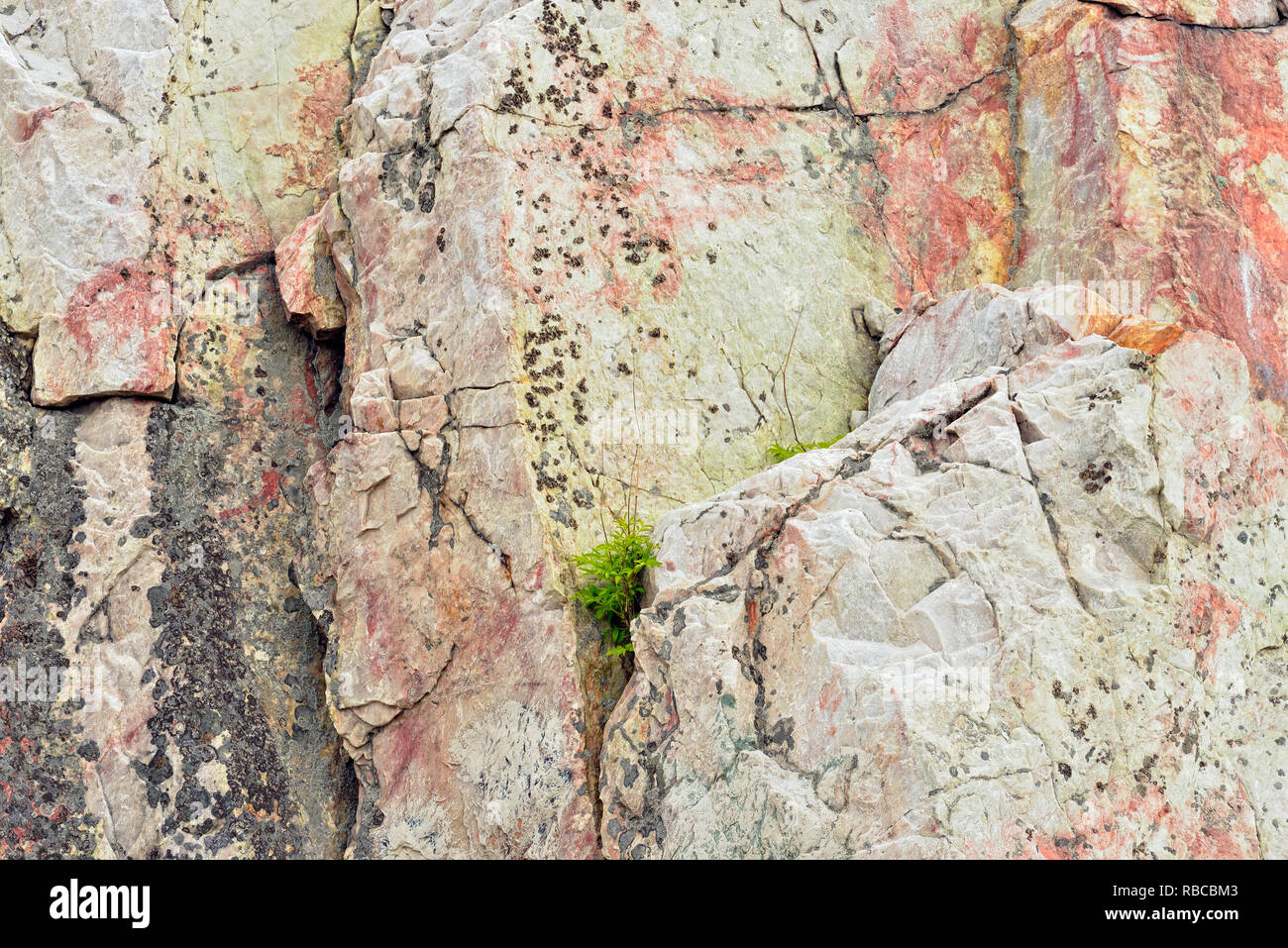 Rocce calcaree sulla montagna Willisville, Willisville, Ontario, Canada Foto Stock