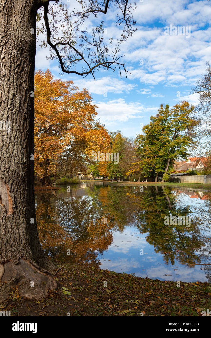 Un lago artificiale nella grande in stile inglese giardino di un ex castello di Peresznye, Ungheria. Foto Stock
