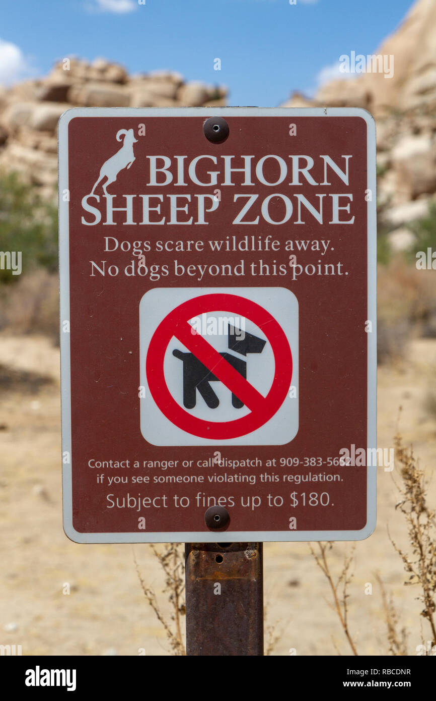 Segno di avvertimento che i visitatori sono in un Bighorn zona, Joshua Tree National Park, California, Stati Uniti. Foto Stock