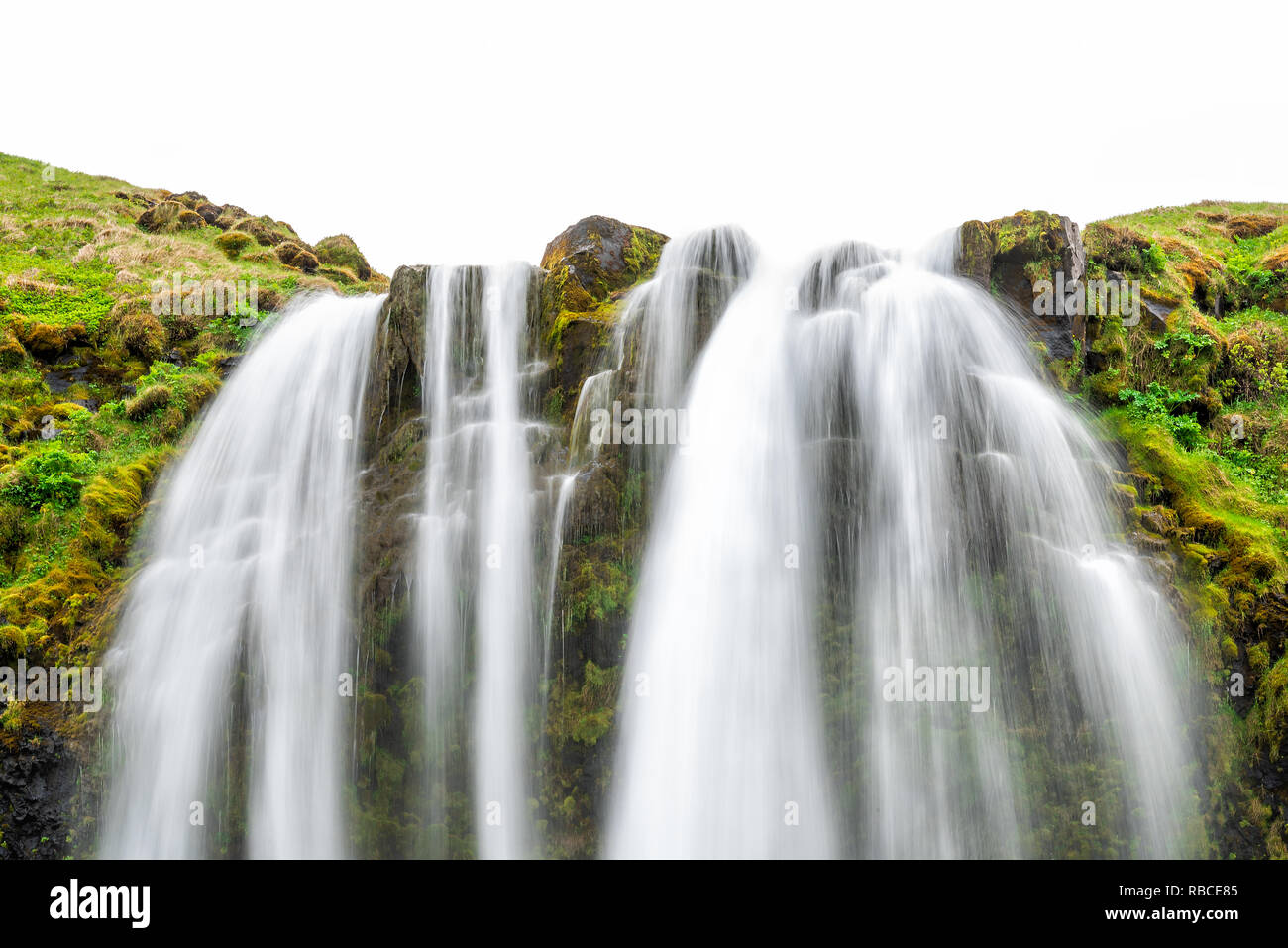 Primo piano della cascata Seljalandsfoss, Islanda con acqua caduta nella scogliera di muschio verde estate e abstract lunga esposizione regolare flusso Foto Stock