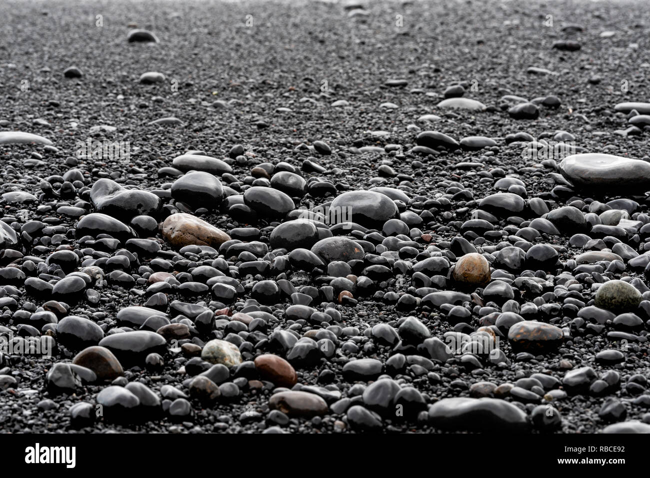 Primo piano della grande nero pietre vulcaniche o granelli di sabbia sulla spiaggia di Reynisfjara, Islanda con Riva e lucenti rocce umide Foto Stock