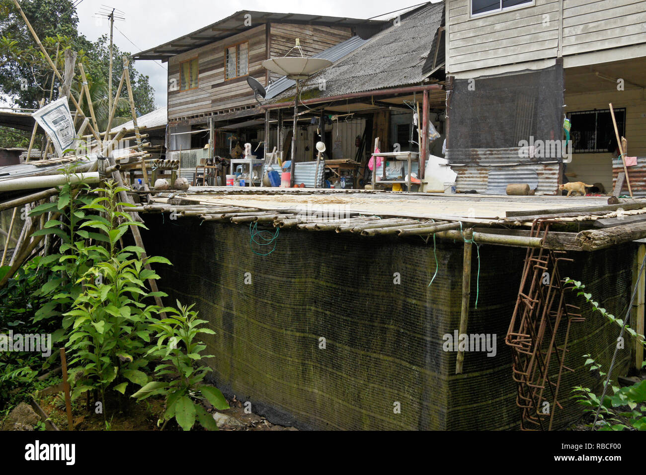 Longhouse della tribù Bidayuh, Kampung Annah Rais, Sarawak (Borneo), Malaysia Foto Stock