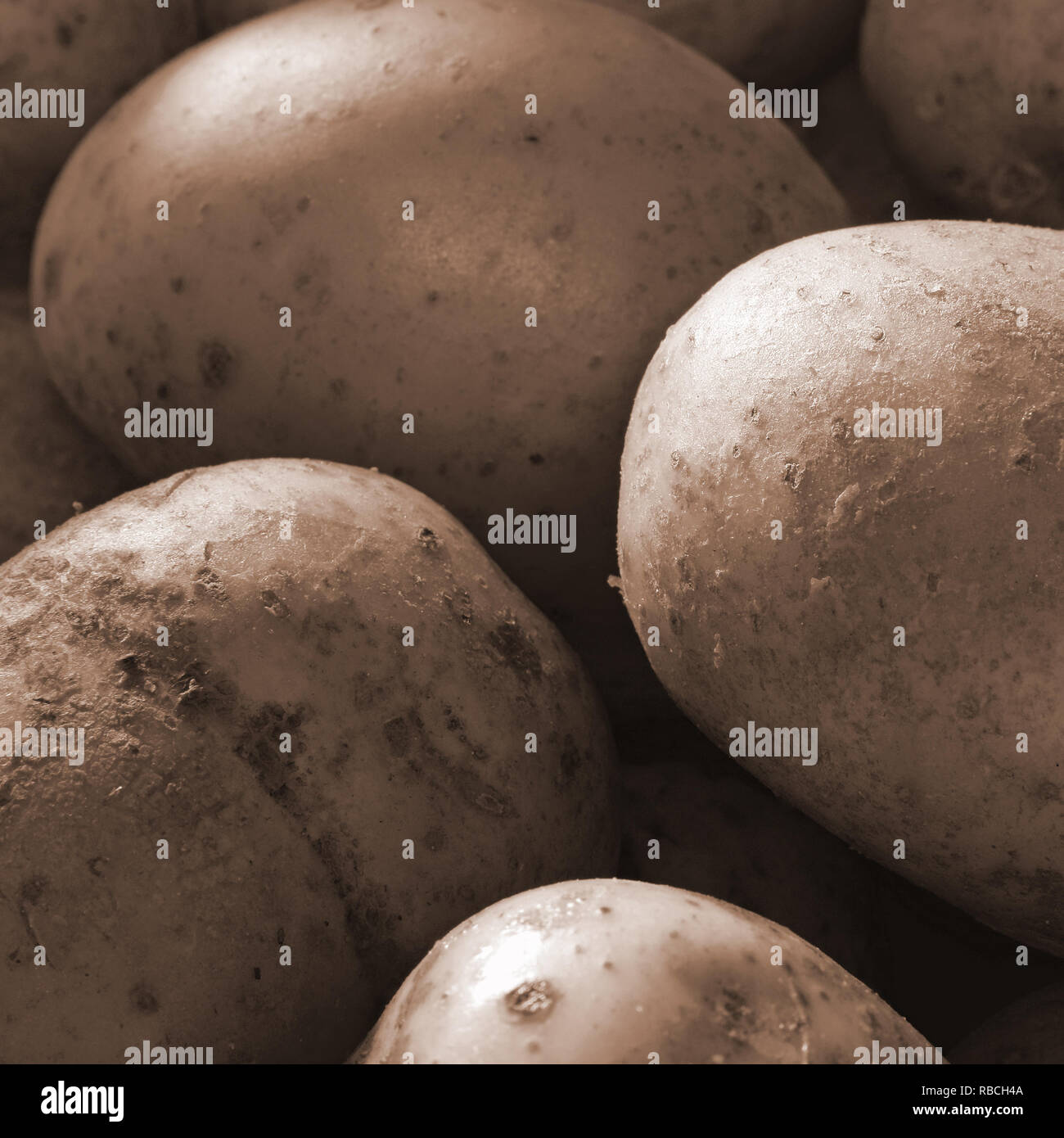 Patate. Forma quadrata chiudere l'immagine. Foto Stock