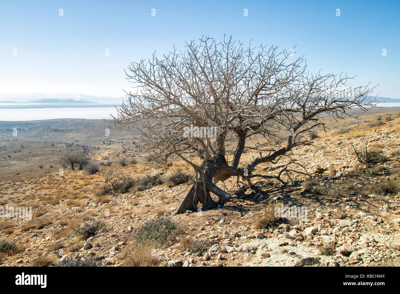 Sull'isola kaboodan, il primo più grande isola del lago di Urmia con un'area 3500 ettaro Foto Stock