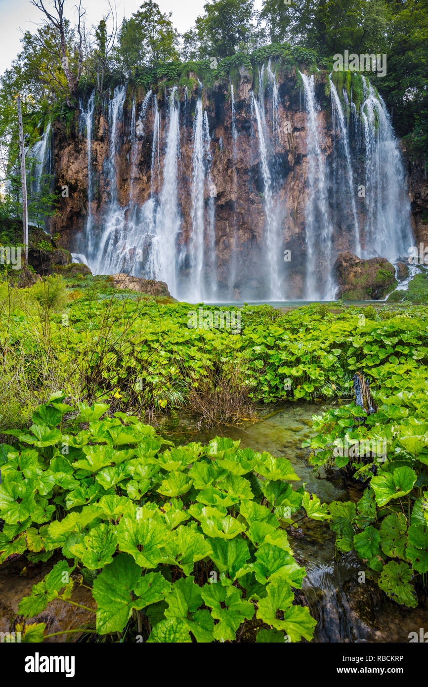 Large (grande) cascata. Veliki Slap. Il Parco Nazionale dei Laghi di Plitvice. Lika Pljeå¡ivica mountain range . Il parco rientra in due contee Lika-Senj Affitto e Foto Stock