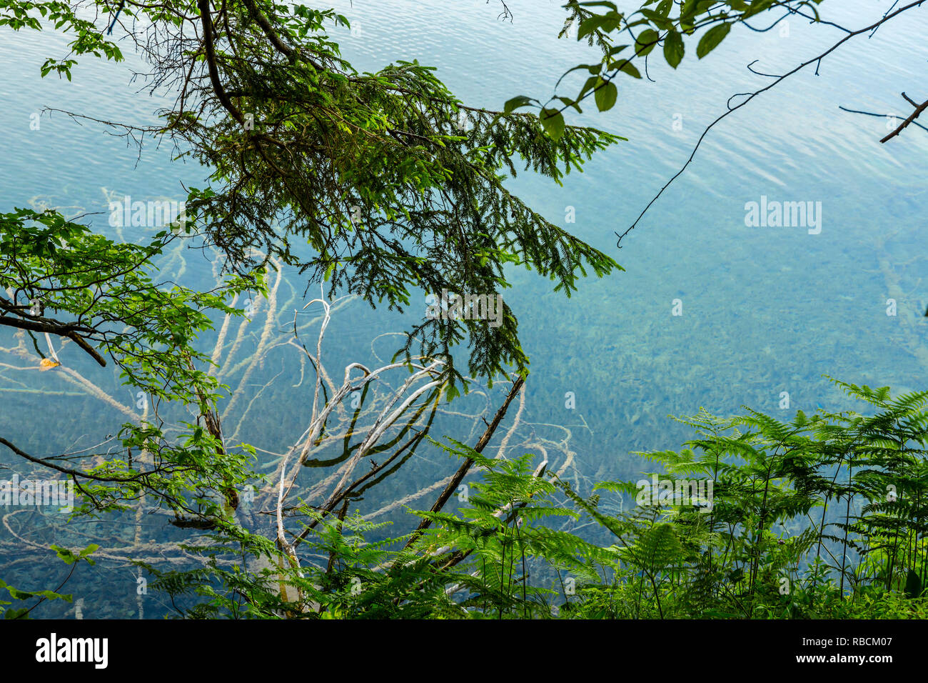 Il Parco Nazionale dei Laghi di Plitvice. Lika Pljeå¡ivica mountain range . Il parco rientra in due contee Lika-Senj Affitto e Karlovac . Patrimonio Mondiale dell'UNESCO, Foto Stock