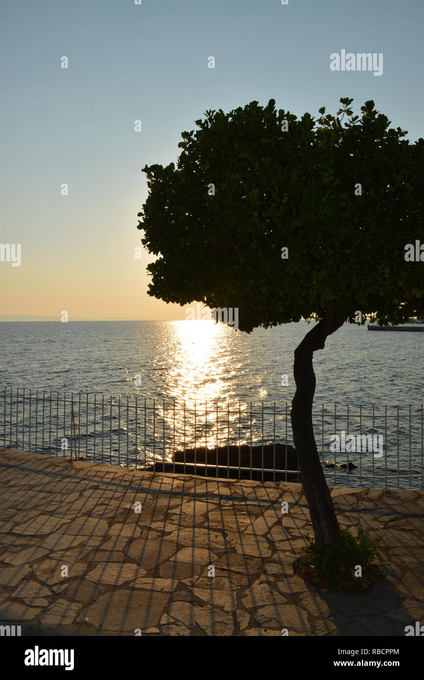 Tramonto nascosto da albero di olivo Foto Stock