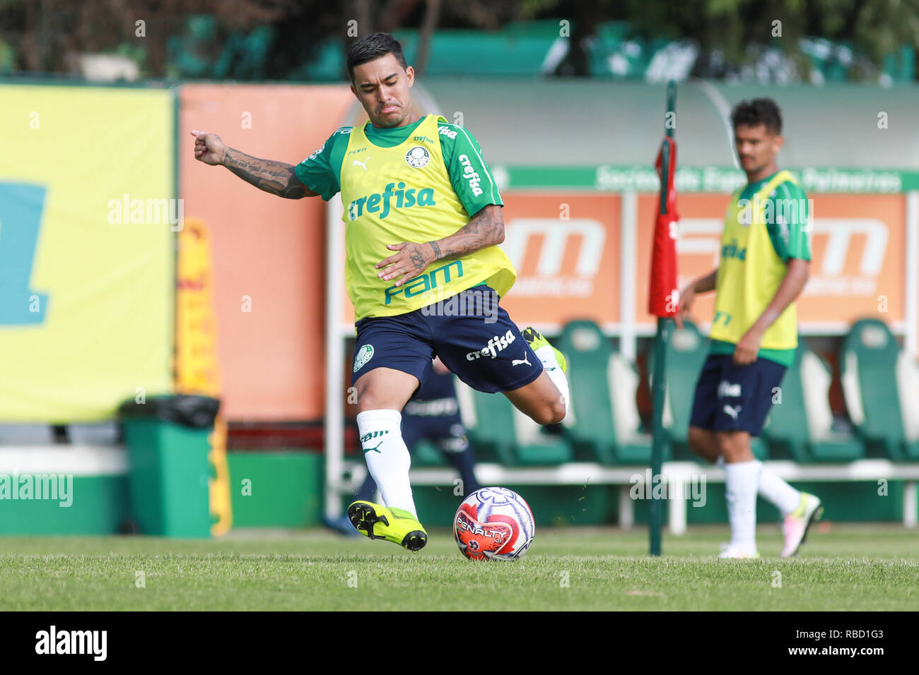 SÃO PAULO, SP - 09.01.2019: TREINO DO PALMEIRAS - Dudu durante la formazione del Palmeiras tenutosi presso l Accademia di calcio situato nel quartiere di Barra Funda in São Paulo (SP). (Foto: Ricardo Moreira/Fotoarena) Foto Stock