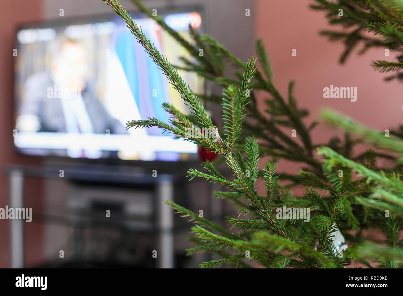 Ramoscelli verdi di vivere albero di Natale e la TV sullo sfondo a casa indoor Foto Stock