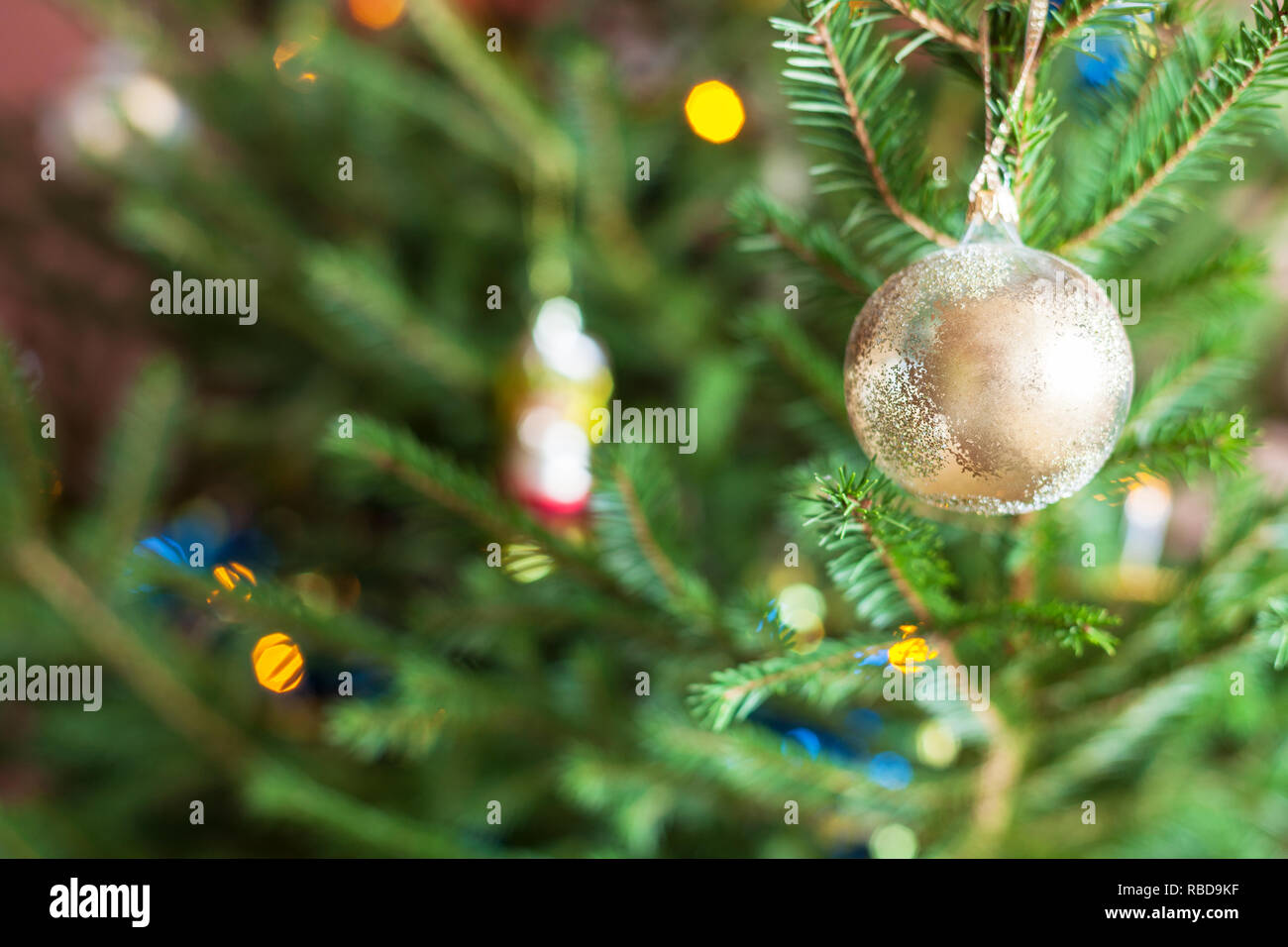 Ornamenti di vetro sui ramoscelli di vivere albero di Natale a casa indoor Foto Stock