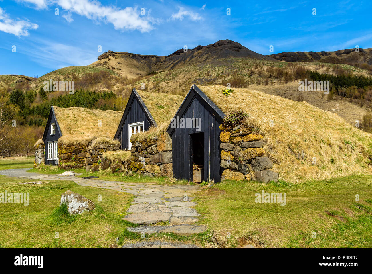 Coperte di erba case sono tipiche per l'Islanda e sono state progettate per proteggere contro il freddo estremo. Foto Stock
