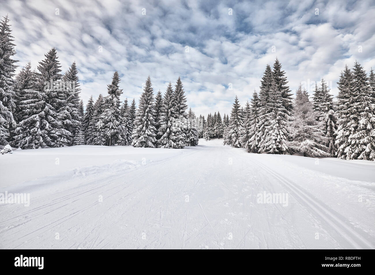 Paesaggio invernale con piste per lo sci di fondo, Jakuszyce, Polonia. Foto Stock