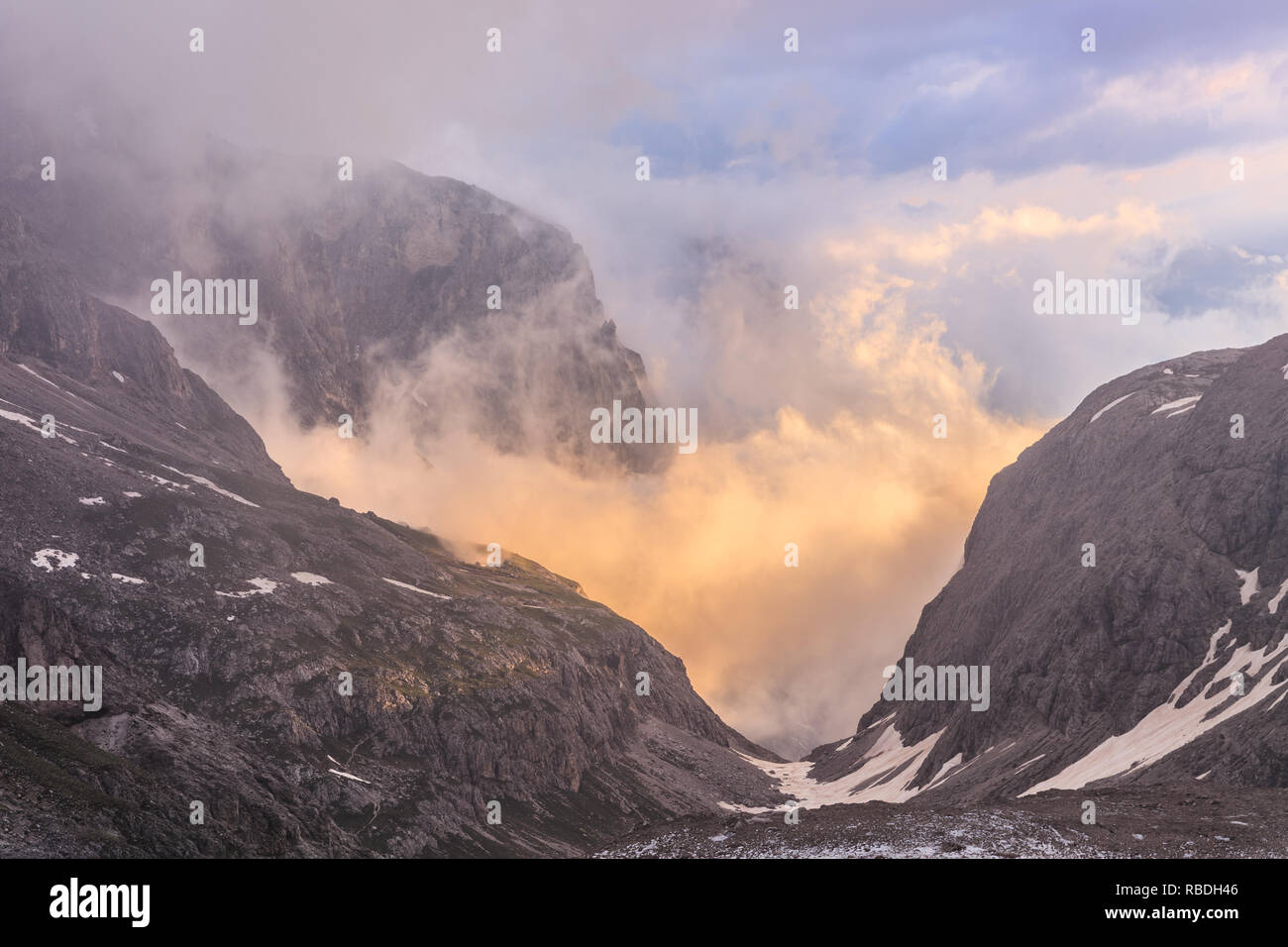 Rosetta in montagna Le Pale di San Martino, Dolomiti, Italia Foto Stock