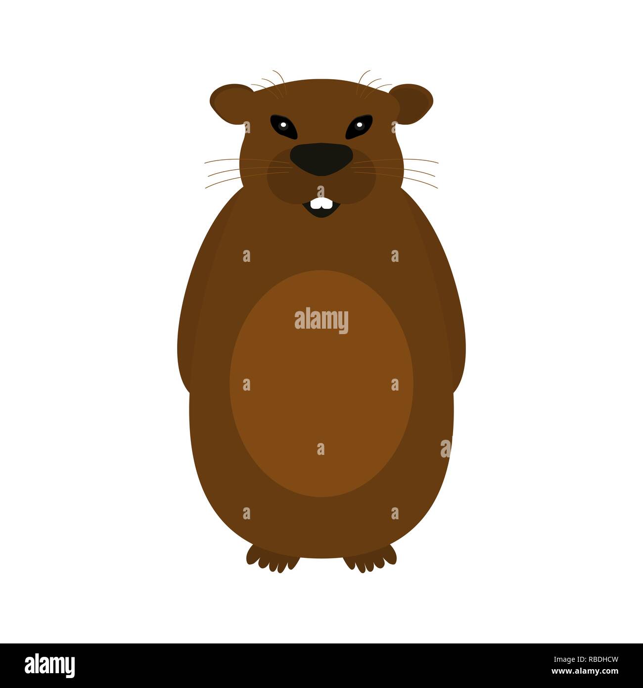 Marmotta su uno sfondo bianco. Illustrazione Vettoriale