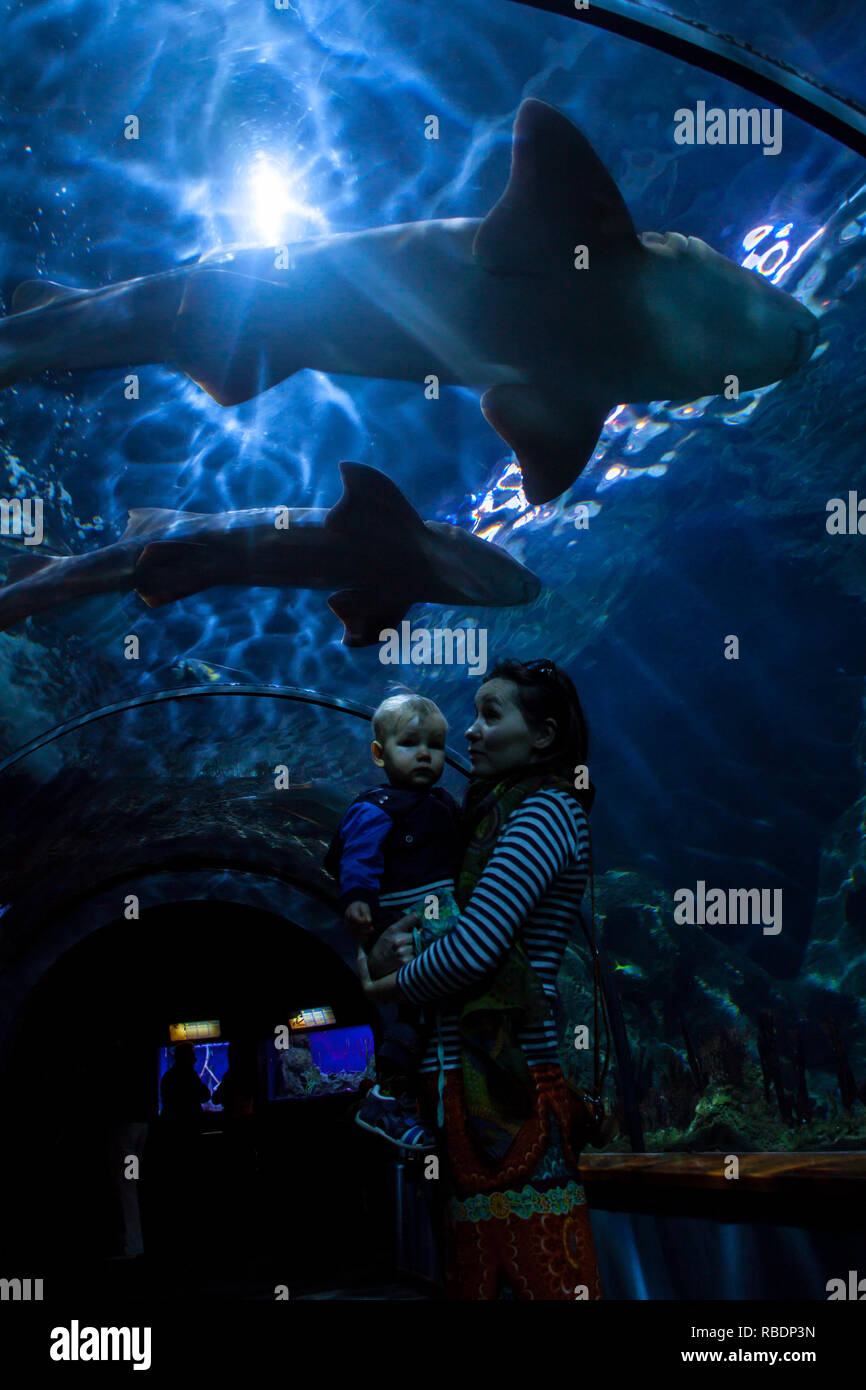 Una bella foto di madre e figlio osservando gli squali nel tunnel sottomarino di Loro Parque Tenerife Foto Stock