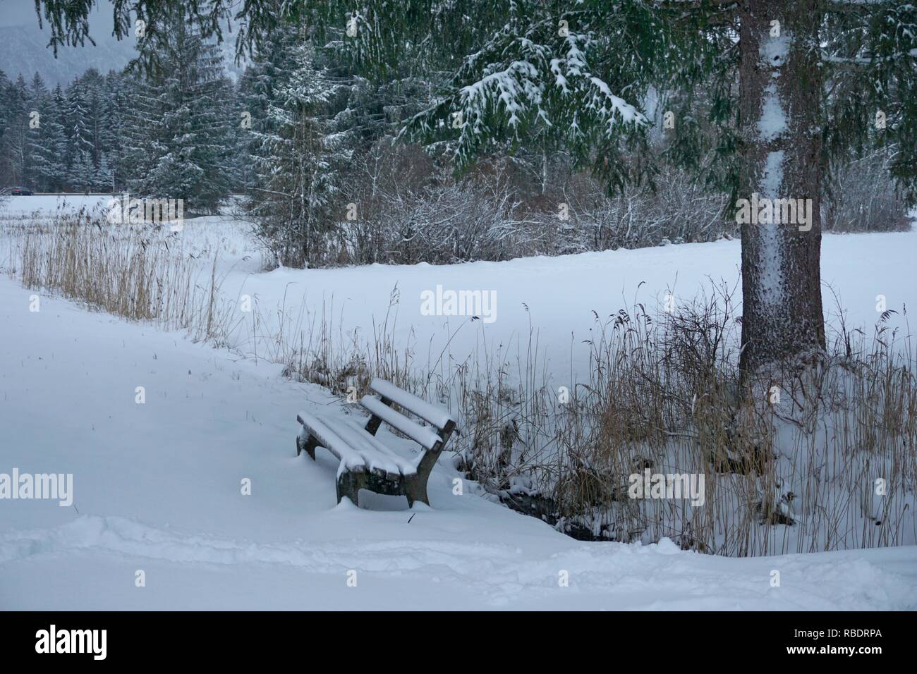 Oberstdorf, Algovia in inverno freddo e la neve Foto Stock