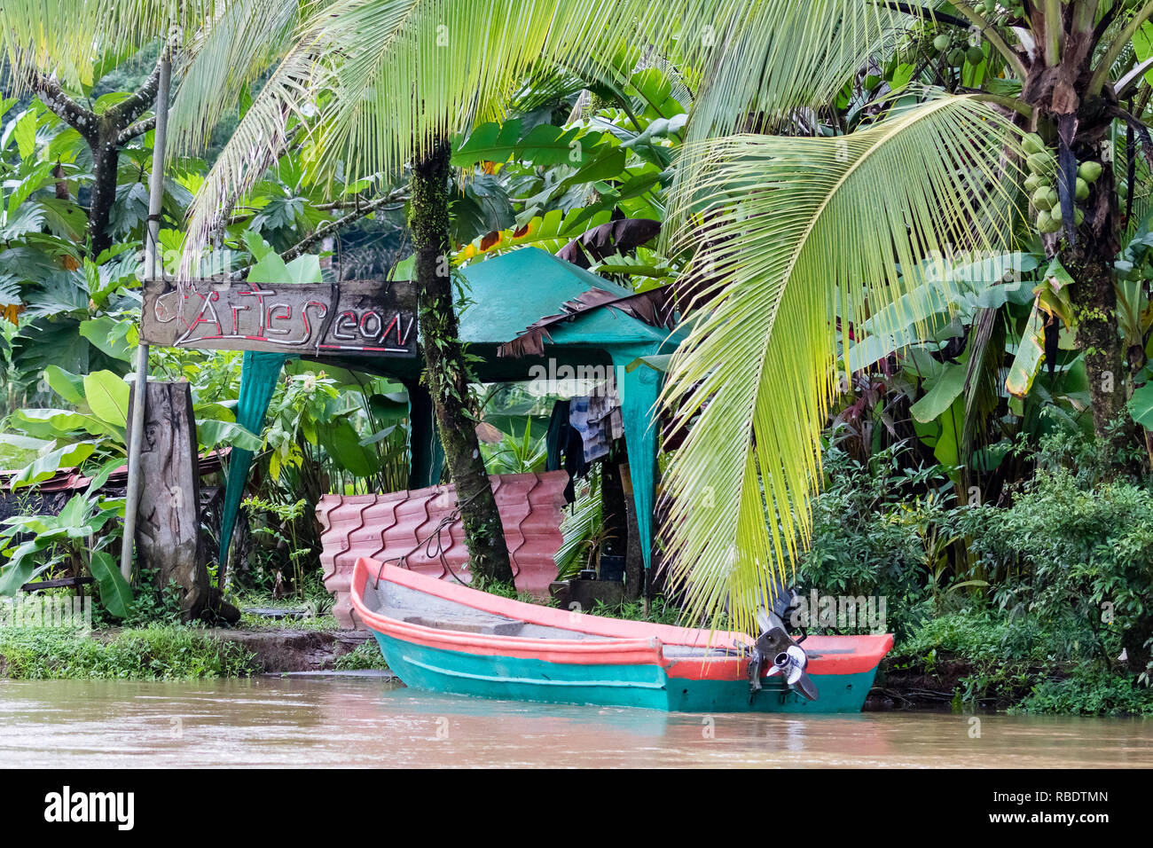 River safari, parco nazionale di Tortuguero, Costa Rica Foto Stock