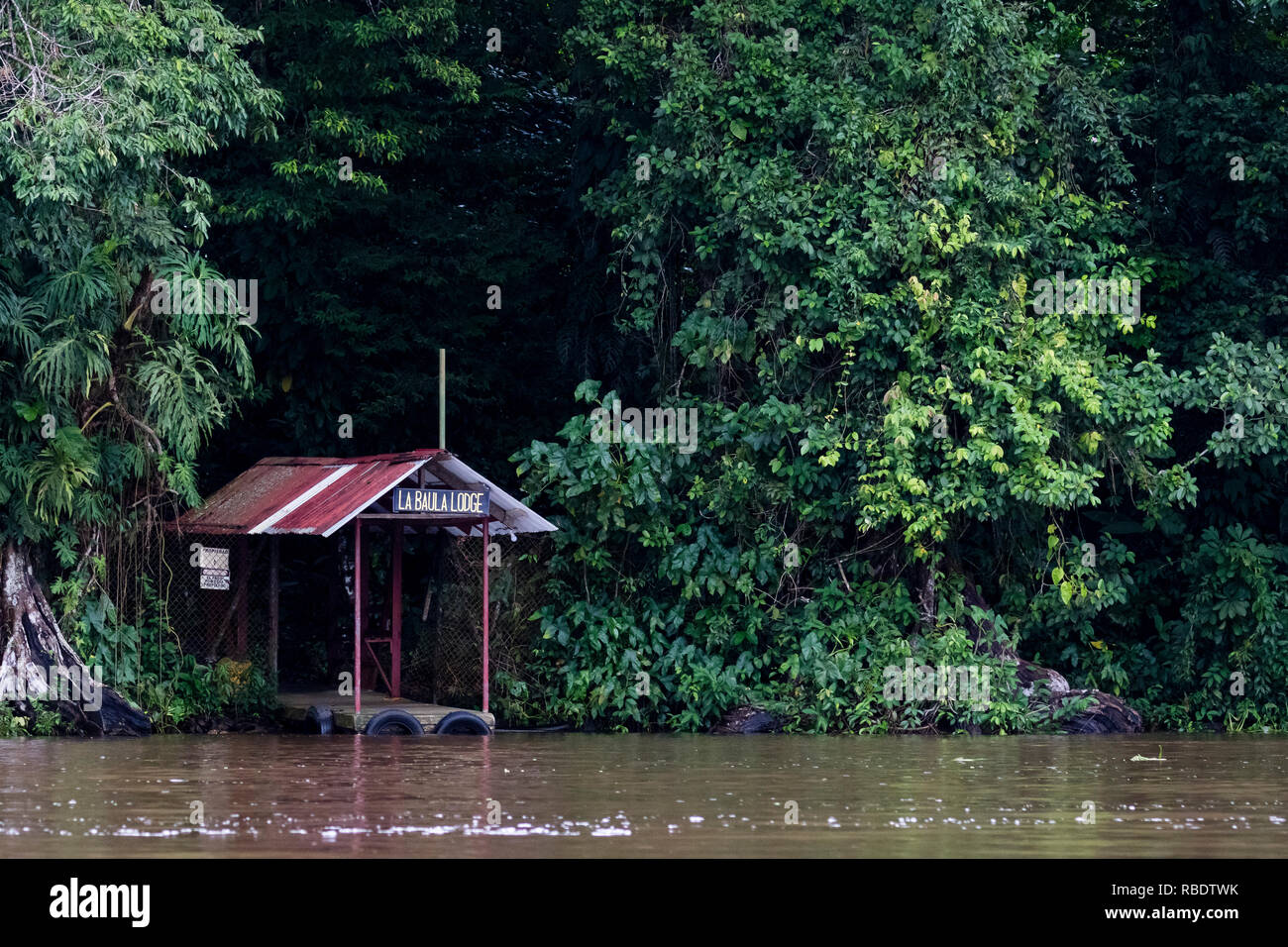 River safari, parco nazionale di Tortuguero, Costa Rica Foto Stock