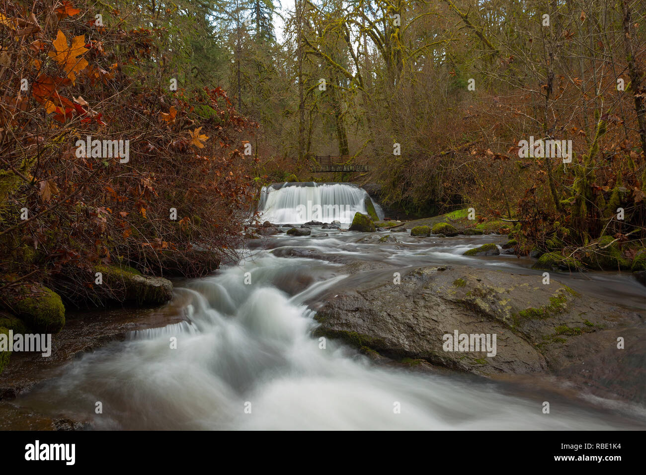 Ponte su McDowell Creek Falls in Oregon County Park durante il periodo invernale Foto Stock