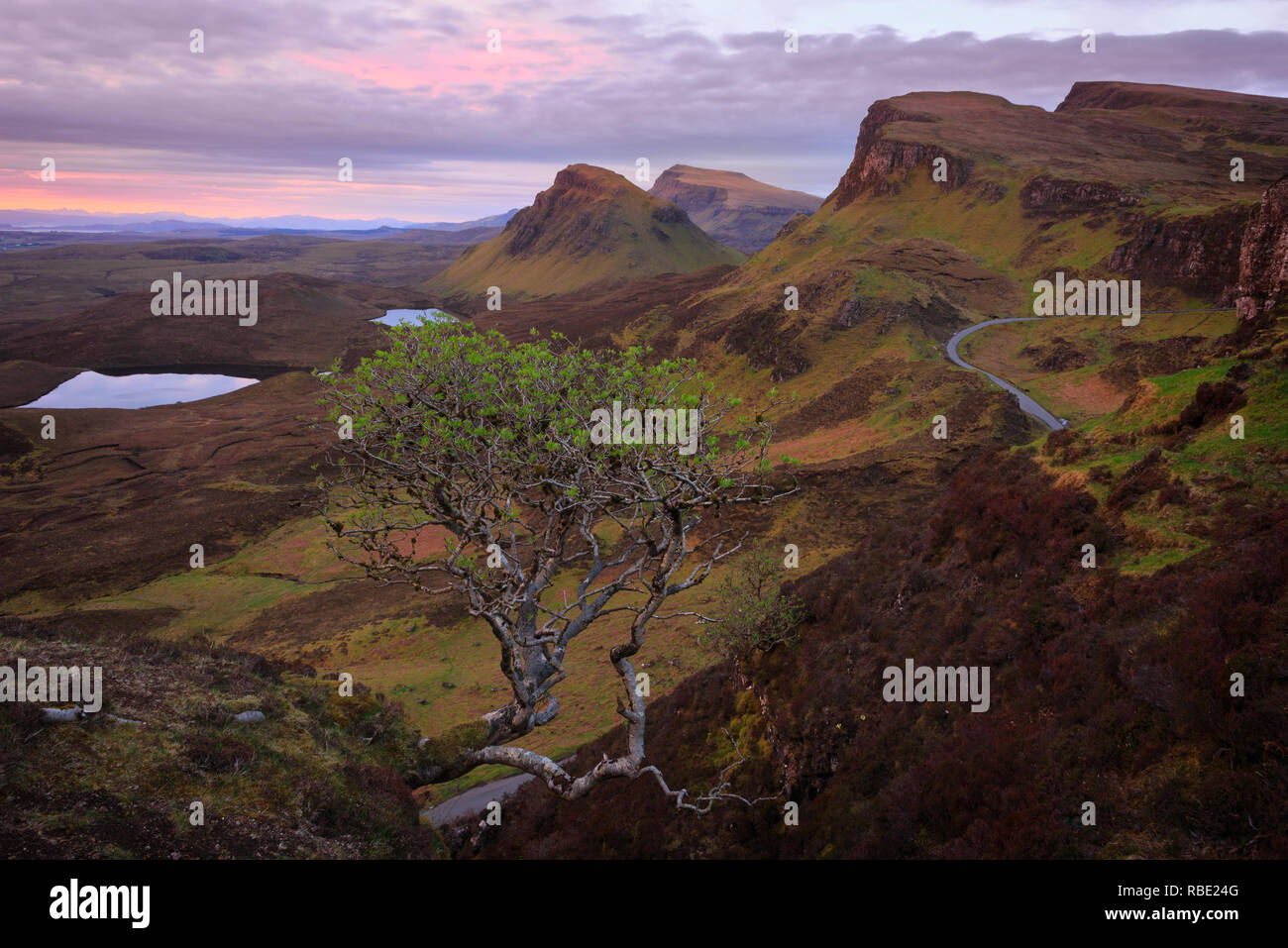 Rosa cielo attraverso le nuvole appena prima del sorgere del sole sopra le montagne Quiraing nel verde paesaggio Trotternish Ridge sull isola di Skye in Scozia, Regno Unito. Foto Stock