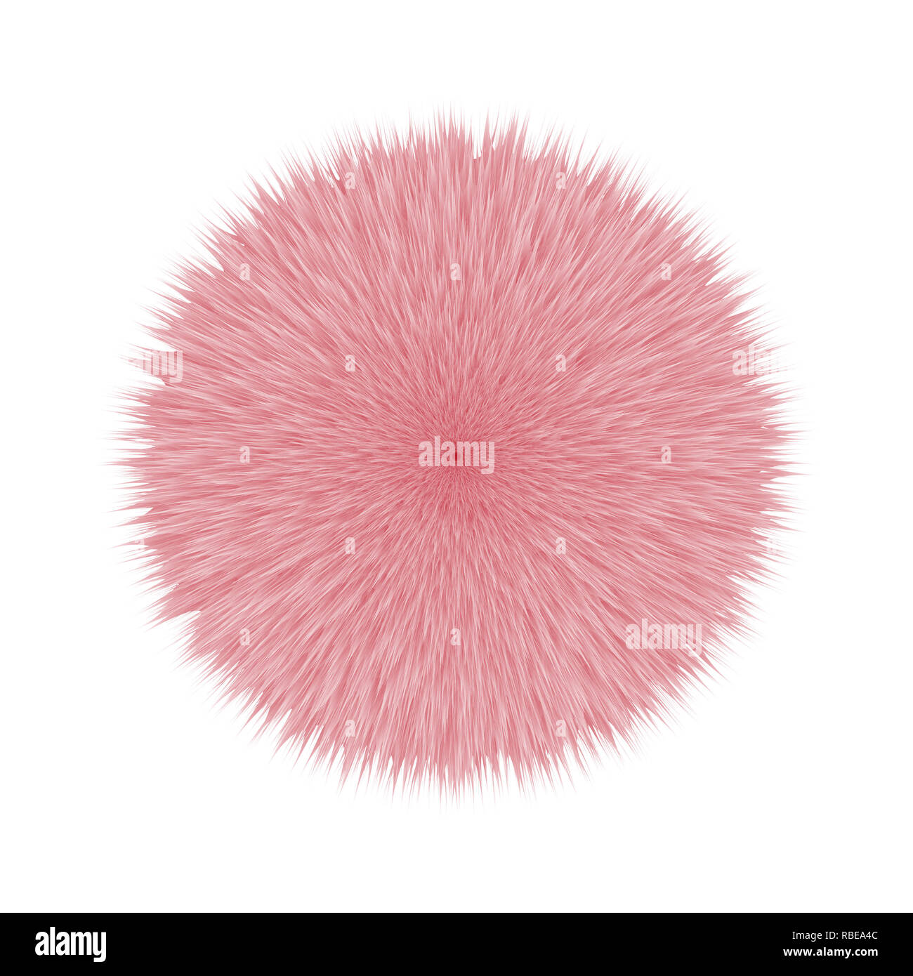 Rosa capelli soffici Pom, 3D illustrazione Foto Stock