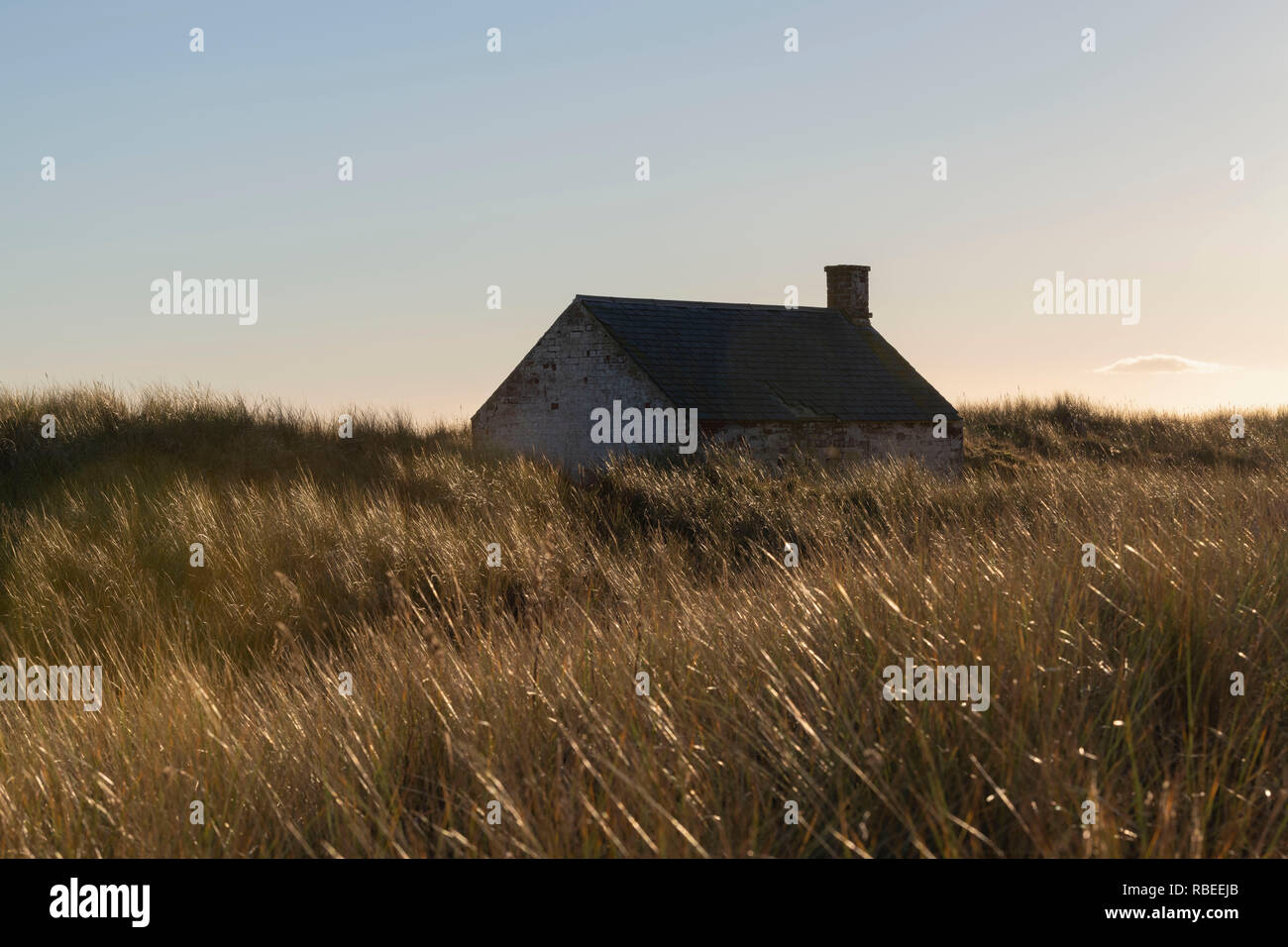 Un abbandonato Fisherman's Bothy nelle dune dietro San Ciro Beach in Aberdeenshire, Scozia Foto Stock