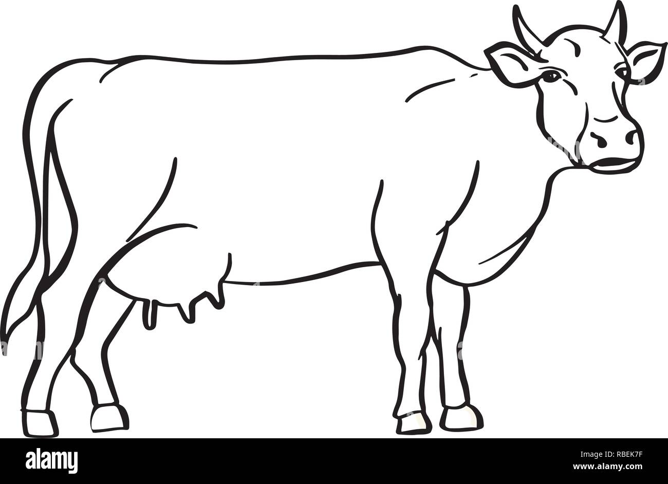Schizzo di mucca disegnato a mano. Bestiame. I capi di bestiame. Il pascolo degli animali. Illustrazione Vettoriale. Illustrazione Vettoriale