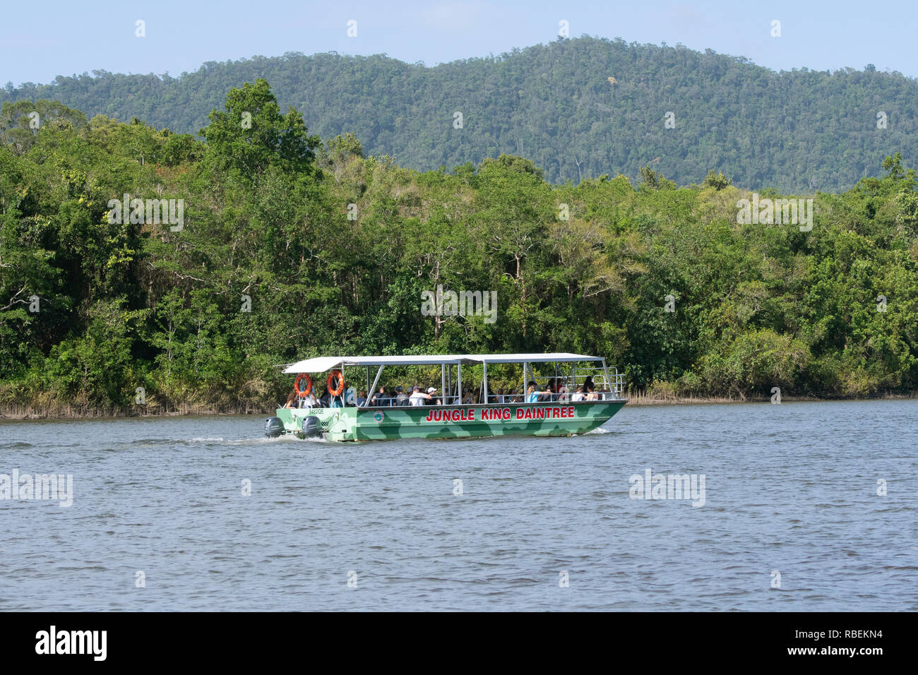 I turisti in una giungla re Daintree crociera in barca sul fiume Daintree, Parco Nazionale Daintree, Wet Tropics, estremo Nord Queensland, FNQ, QLD, Australia Foto Stock
