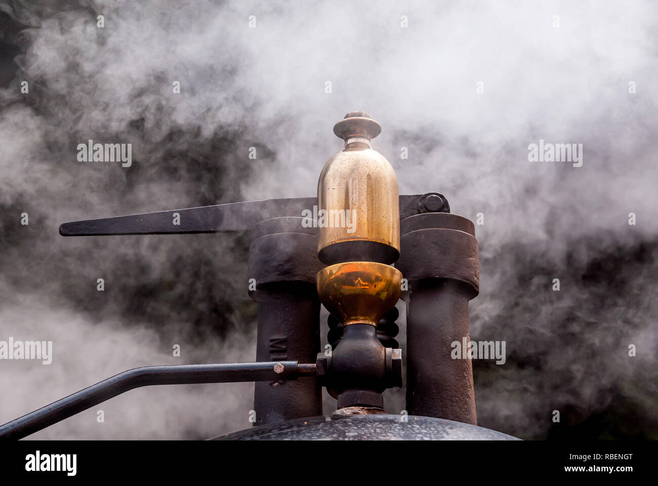 Dettaglio dal 1896 copie costruito il Monte Lyell n. 1 Foto Stock