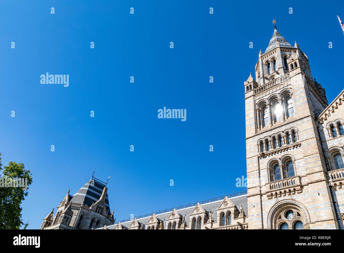 Museo di Storia Naturale di Londra Foto Stock