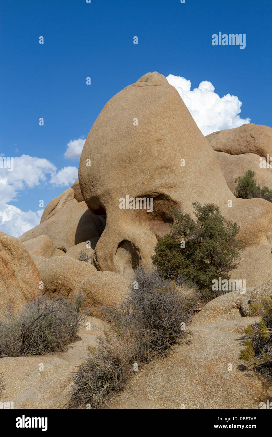 Cranio roccia a Joshua Tree National Park, California, Stati Uniti. Foto Stock