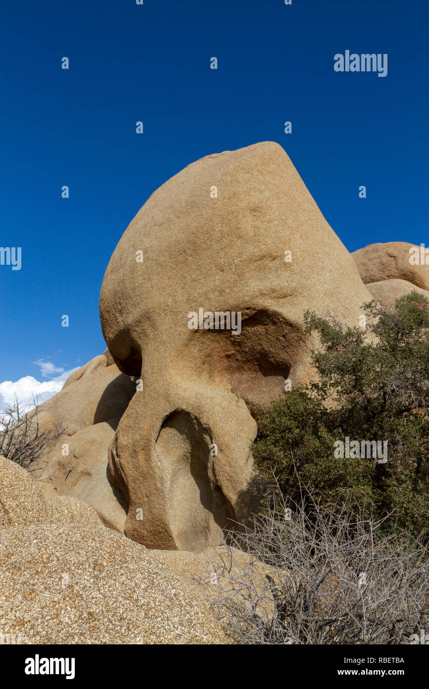 Cranio roccia a Joshua Tree National Park, California, Stati Uniti. Foto Stock