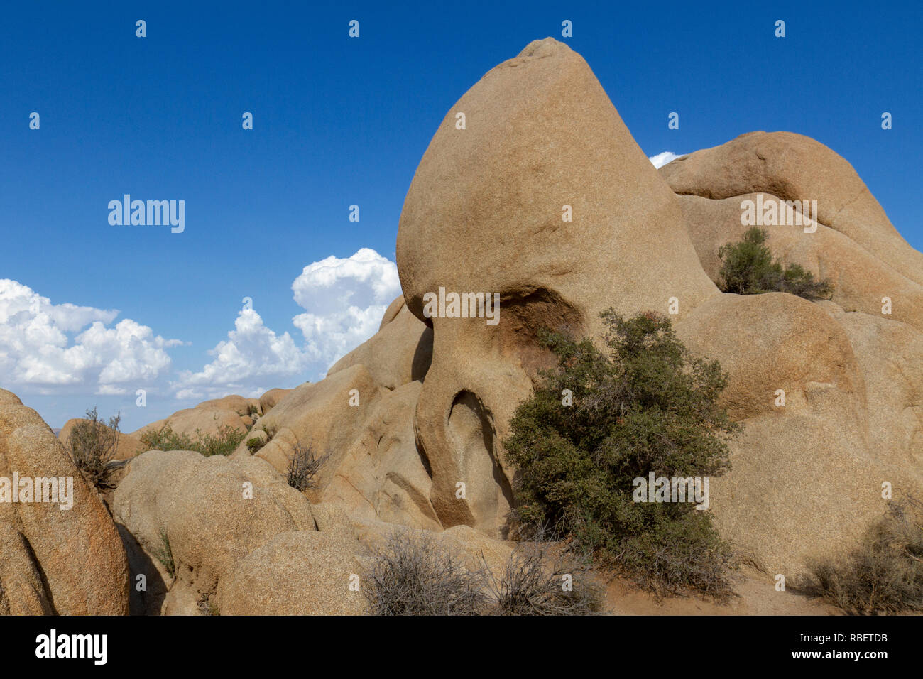 Cranio roccia a Joshua Tree National Park, California, Stati Uniti. Foto Stock