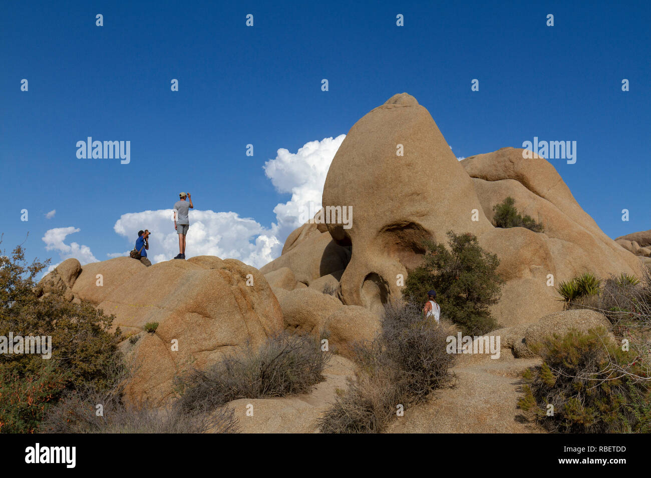 I visitatori di fotografare il cranio roccia a Joshua Tree National Park, California, Stati Uniti. Foto Stock
