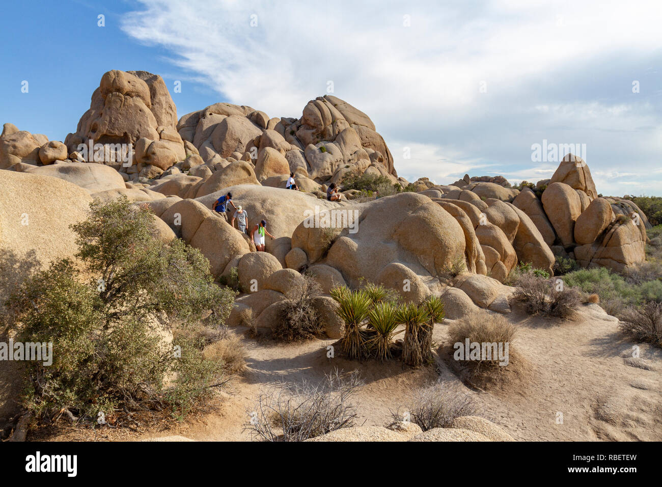 Le formazioni rocciose del cranio Rock area del Parco nazionale di Joshua Tree, California, Stati Uniti. Foto Stock