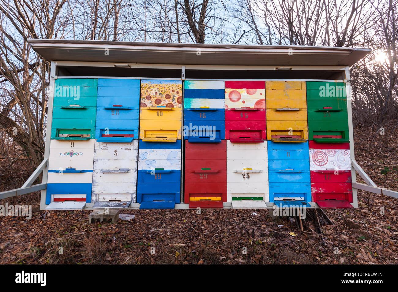 Alveari di api nell'apiario. Foto Stock
