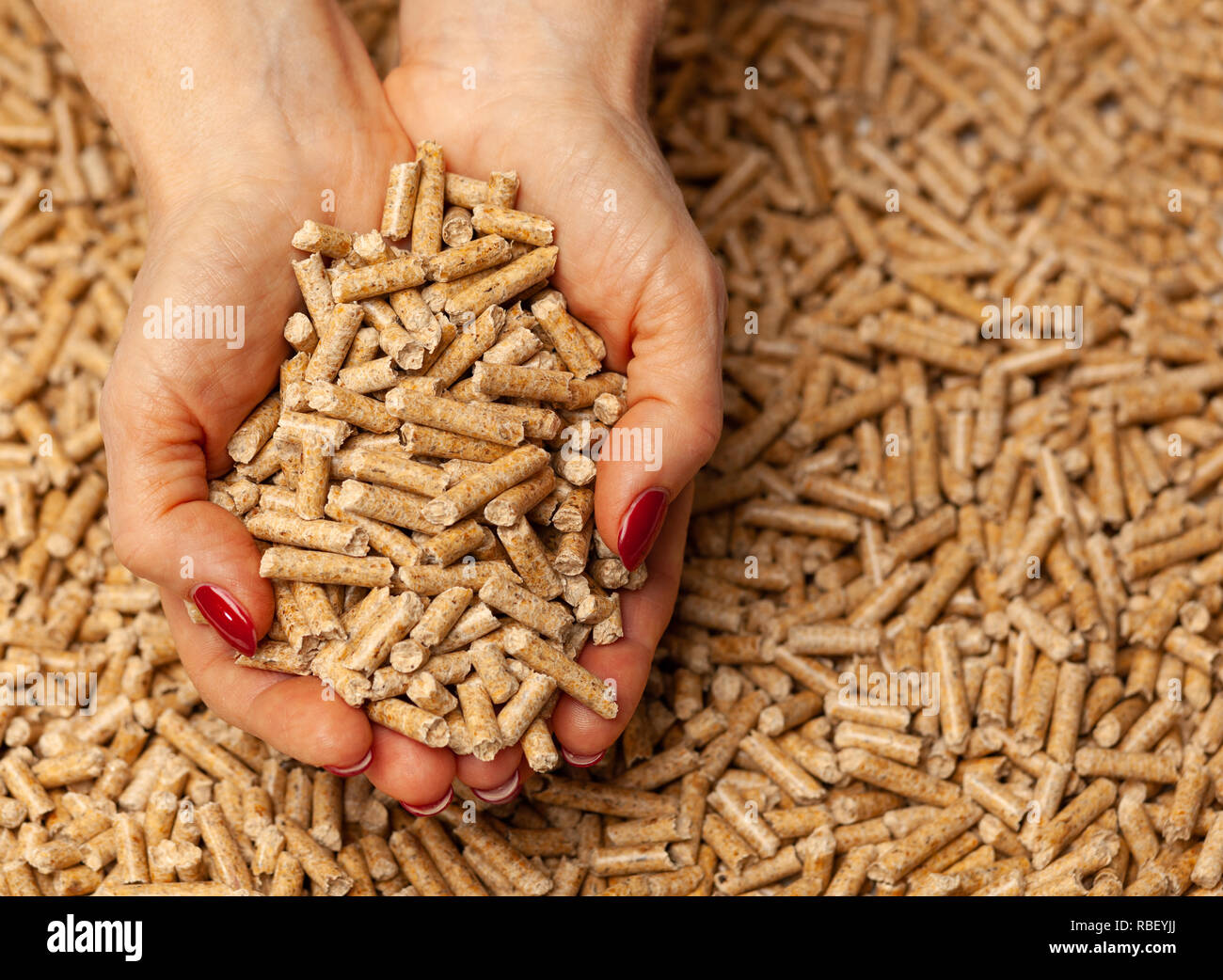 Biocarburanti alternativi da segatura pellet di legno in mani. Foto Stock