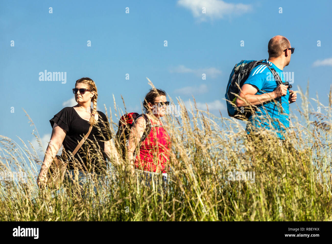 Gli escursionisti con sacchetti passando attraverso prato estivo, Germania Foto Stock