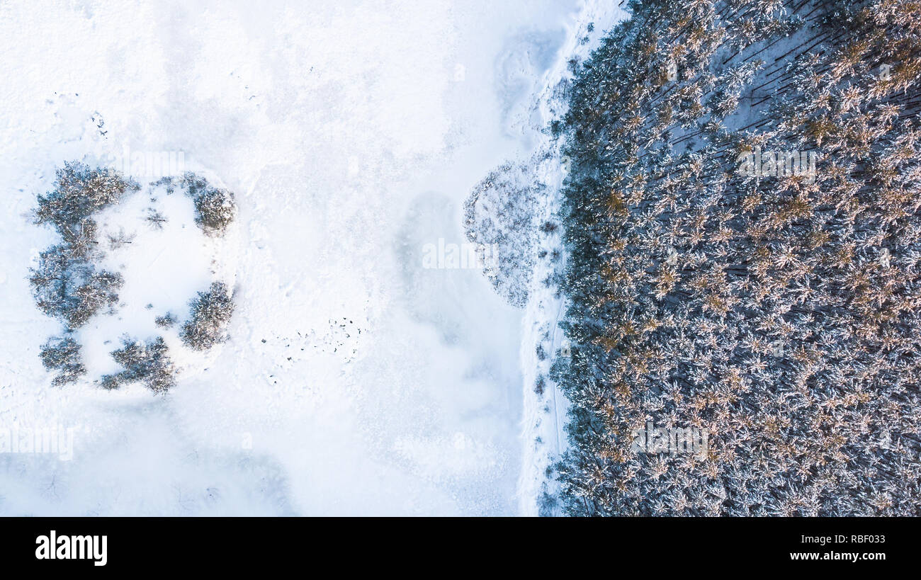 In inverno il bordo del bosco dal lago frozel, foto aerea, vista dall'alto in basso. Foto Stock
