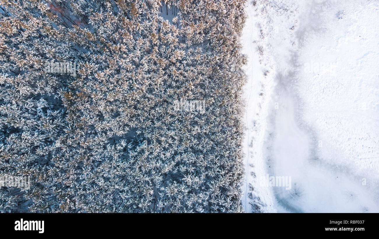 Lago ghiacciato di superficie e boschi innevati, foto aerea. top down drone vista. Foto Stock