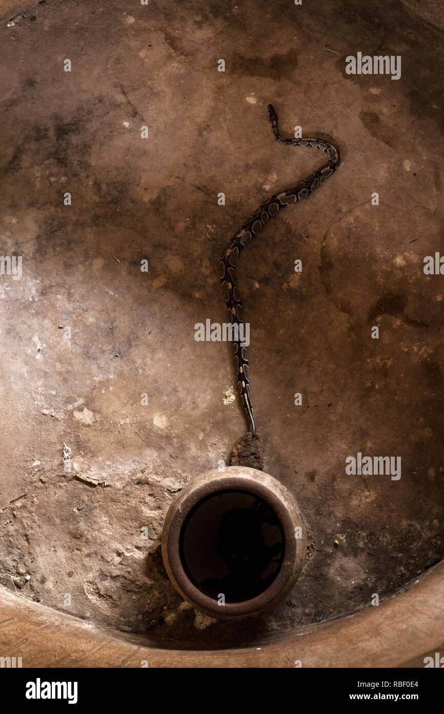 Royal Python Temple (Tempio des pitoni) a Ouidah, Benin, Africa. Foto Stock