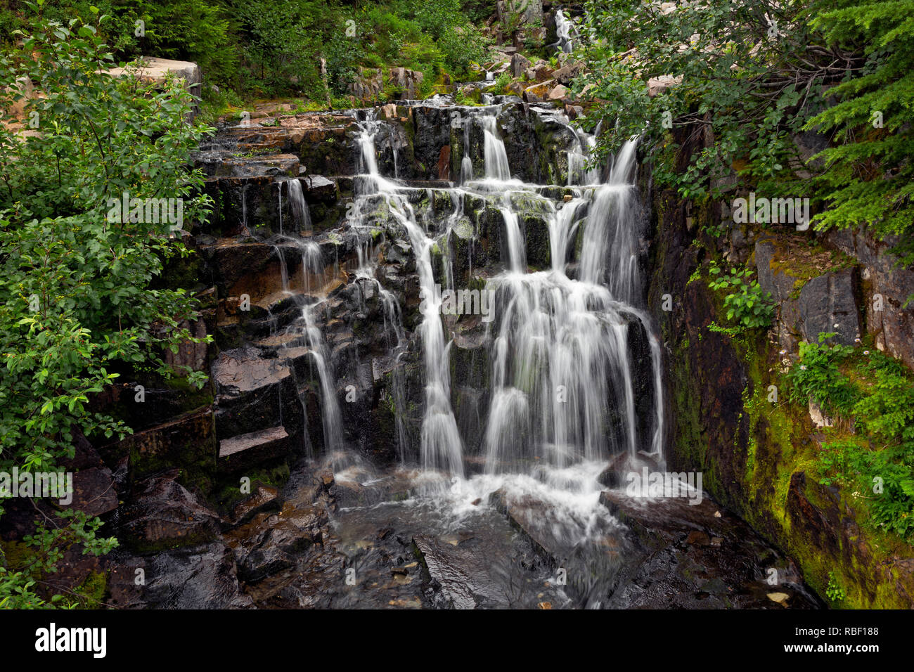 WA15709-00...WASHINGTON - Medio Sunbeam Falls si trova sul Stevens Canyon Road in Mount Rainier National Park. Foto Stock